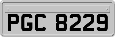 PGC8229