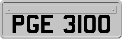 PGE3100