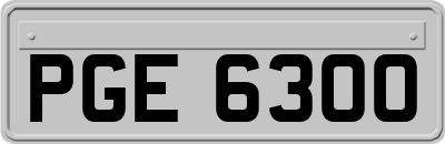PGE6300