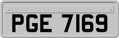 PGE7169