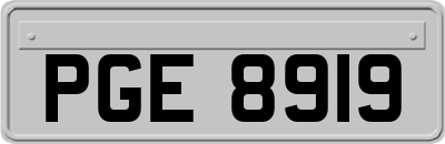 PGE8919