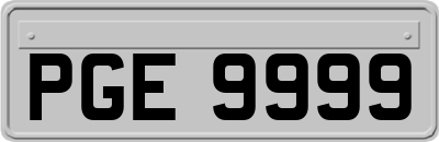 PGE9999