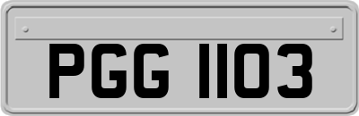 PGG1103