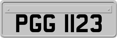 PGG1123