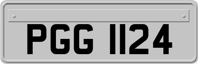 PGG1124