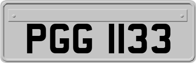 PGG1133