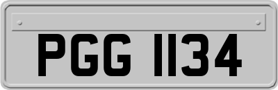 PGG1134