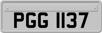 PGG1137