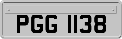 PGG1138