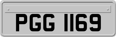 PGG1169
