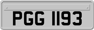 PGG1193