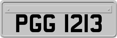 PGG1213