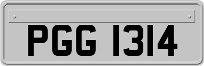 PGG1314