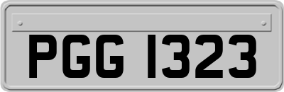 PGG1323