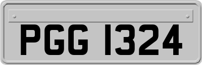 PGG1324