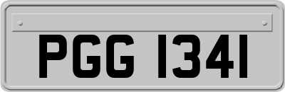 PGG1341