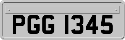 PGG1345