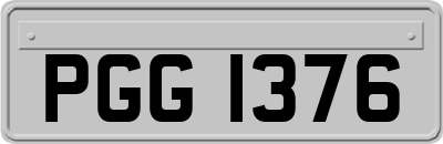PGG1376