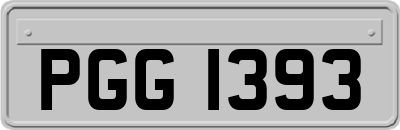 PGG1393