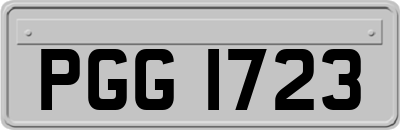 PGG1723