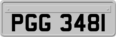 PGG3481