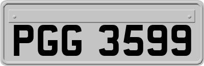 PGG3599