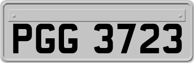 PGG3723