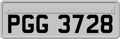 PGG3728