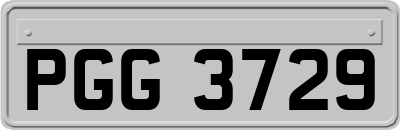 PGG3729