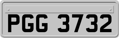 PGG3732