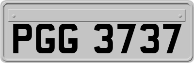 PGG3737