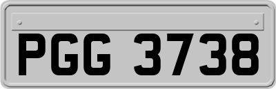 PGG3738