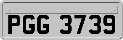 PGG3739