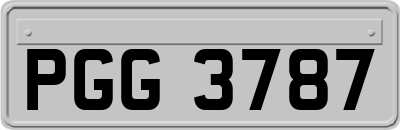 PGG3787