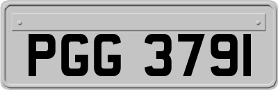 PGG3791