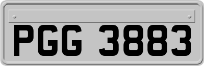 PGG3883