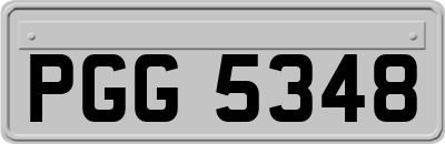 PGG5348