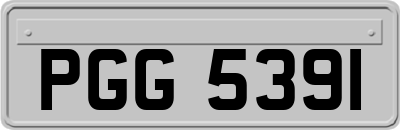 PGG5391