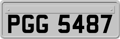 PGG5487