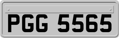 PGG5565