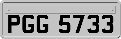 PGG5733