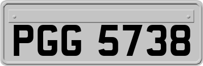 PGG5738