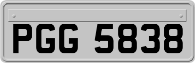 PGG5838