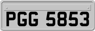 PGG5853