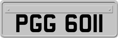 PGG6011