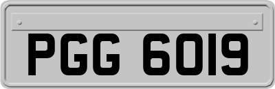PGG6019