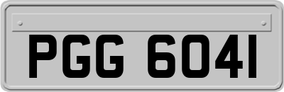 PGG6041