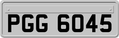 PGG6045