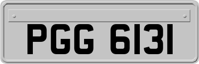 PGG6131