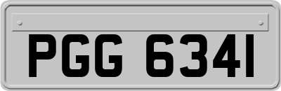 PGG6341